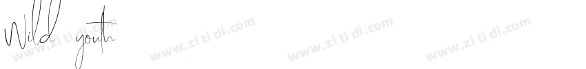 Wild youth字体转换